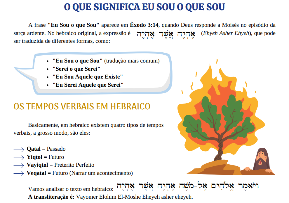 amostra-manual-questoes-2.png